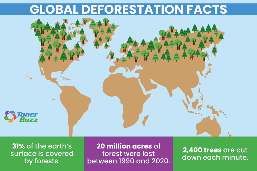 What is the percentage of deforestation in the world ?